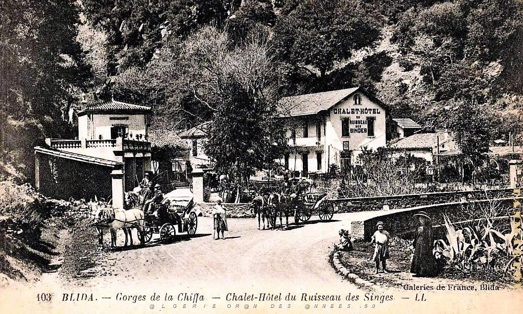 BLIDA - GORGES DE LA CHIFFA - CHALET-HOTEL DU RUISSEAU DES SINGES.jpg